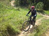 RIMG0184