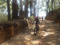RIMG0222