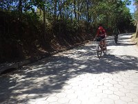RIMG0354