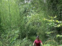 IMG 20221203 093746 1