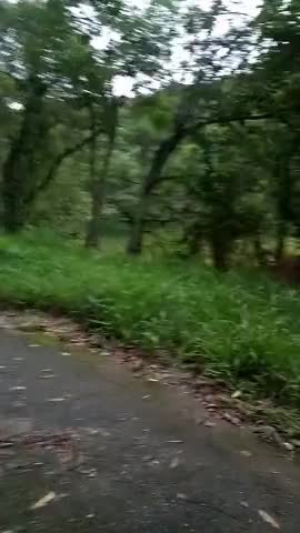 VIDEO 20221204 093734381 00 00 06-00 00 28~1