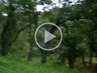 VIDEO 20221204 093734381 00 00 06-00 00 28~1