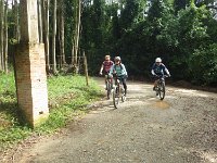 RIMG0230