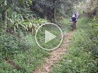 RIMG0236