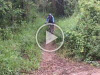 RIMG0243