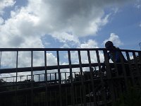 RIMG0255