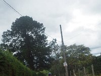 RIMG0053