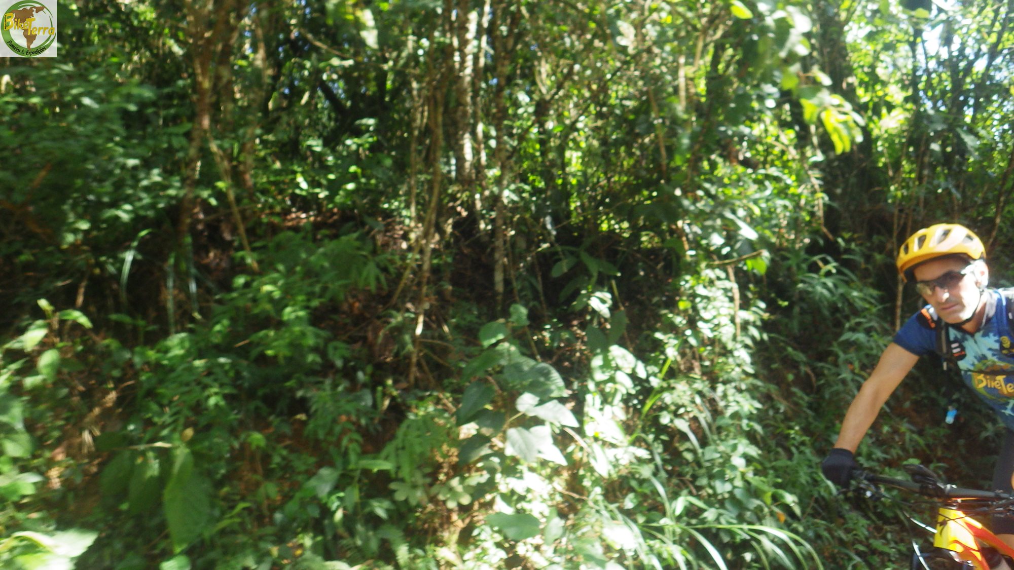 RIMG0069