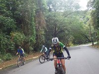 RIMG0115
