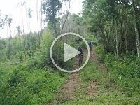 RIMG0155