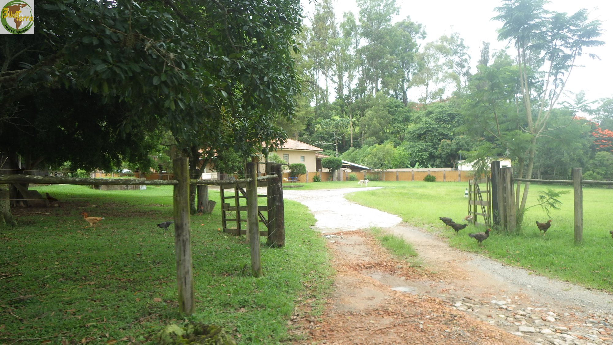 RIMG0036