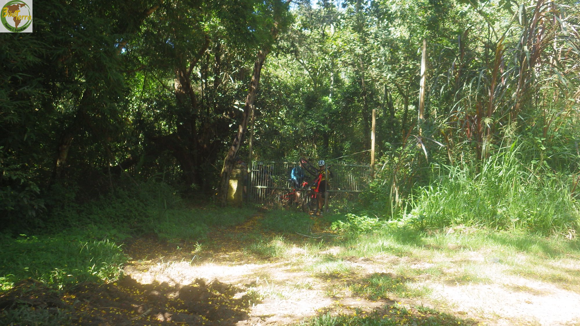 RIMG0063