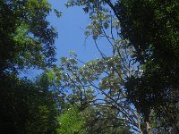 RIMG0076