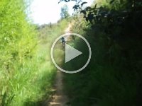 RIMG0088