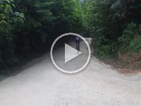 RIMG0149