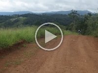 RIMG0226