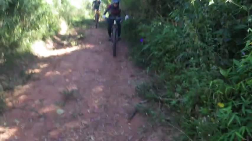 RIMG0289