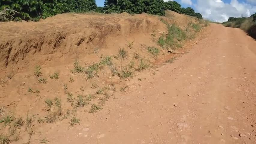 RIMG0449