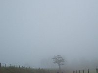 RIMG0354
