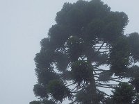 RIMG0356