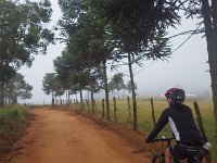 RIMG0359