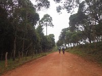 RIMG0379