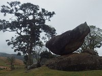 RIMG0383
