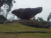 RIMG0384