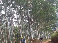RIMG0572