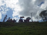 RIMG0593