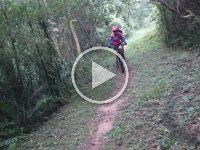 RIMG0646