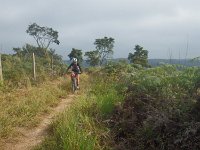 RIMG0675
