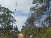 RIMG0693