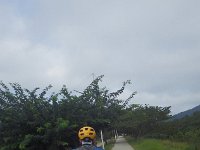 RIMG0704