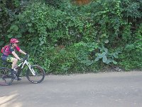 RIMG0731