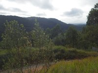 RIMG0741