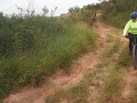 RIMG0747