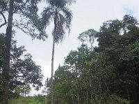 RIMG0759