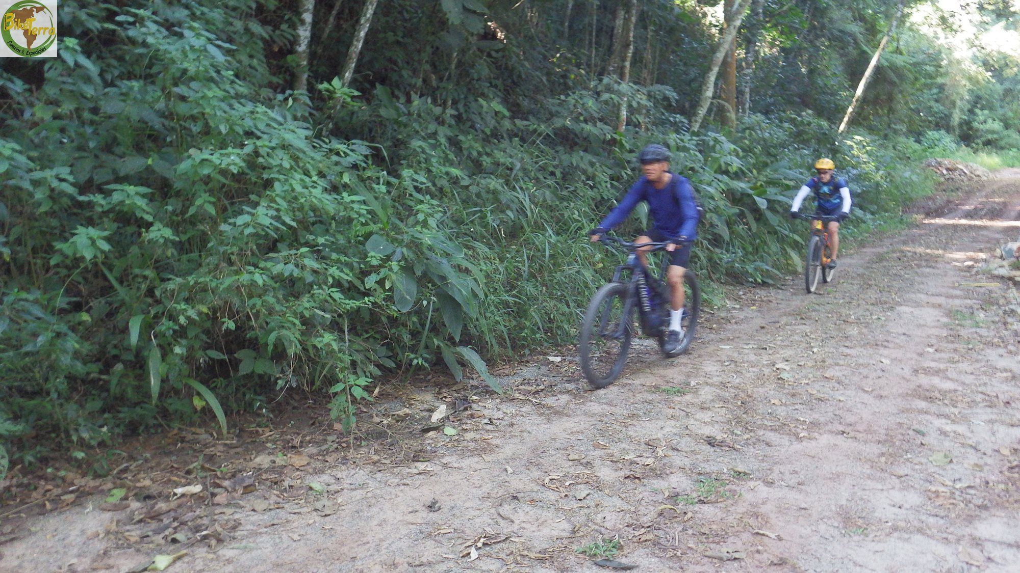 RIMG0774