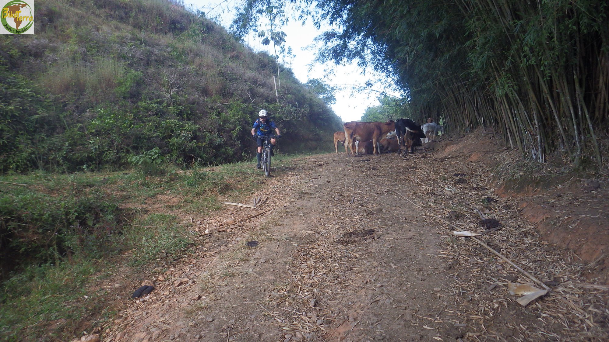 RIMG0850