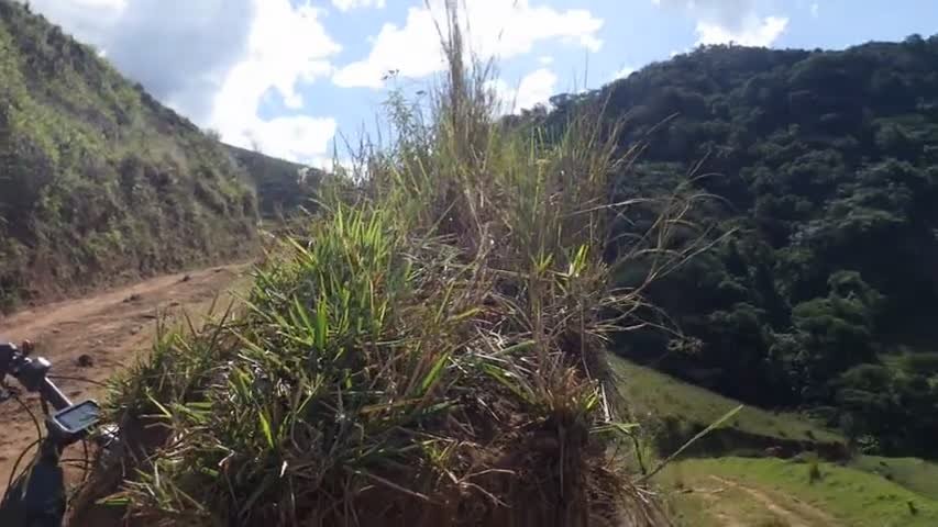 RIMG0852