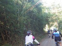 RIMG0932