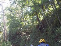 RIMG0962