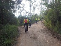 RIMG0974
