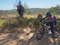 RIMG1083