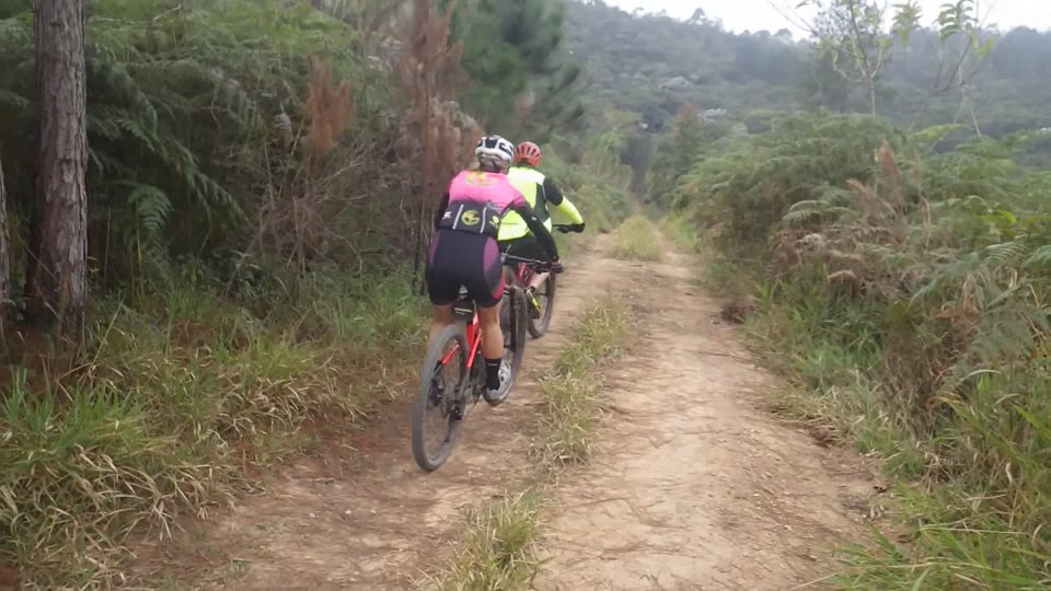 RIMG1201