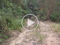 RIMG1184