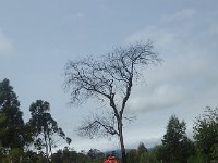 RIMG0217