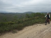 RIMG0243