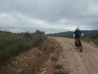 RIMG0248